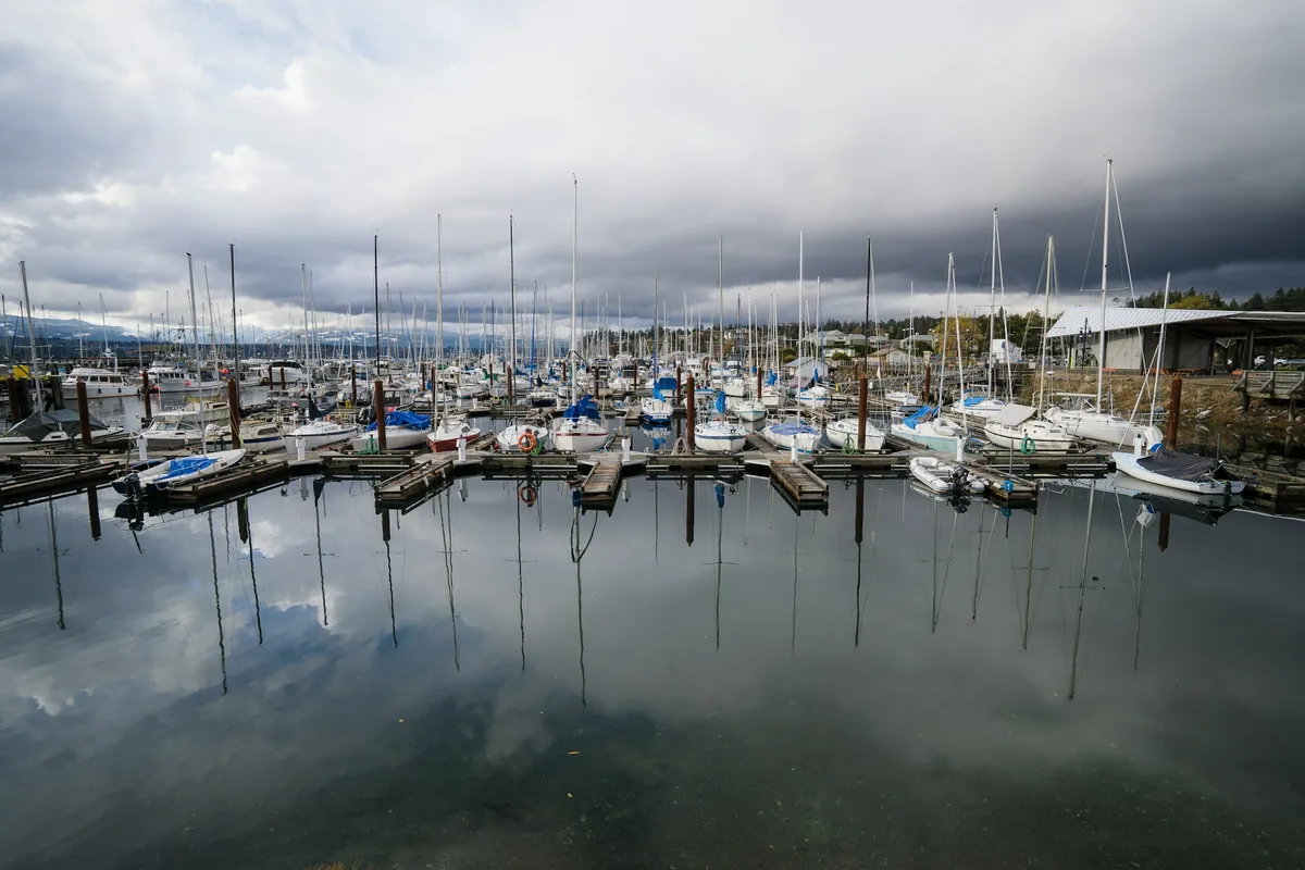 Sailboats and fishing boats at the Comox Municipal Marina