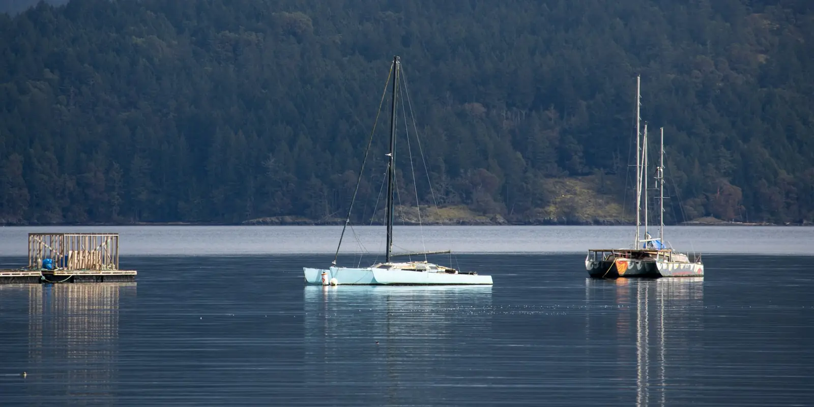 Sailboats at anchor in Cowichan Bay, with forest behind them