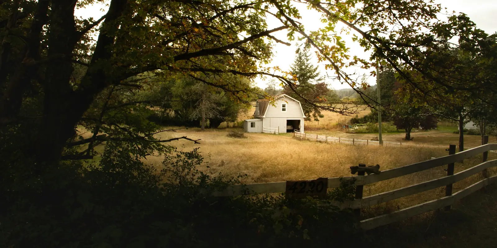 A white wooden farmhouse in a field, behind large trees