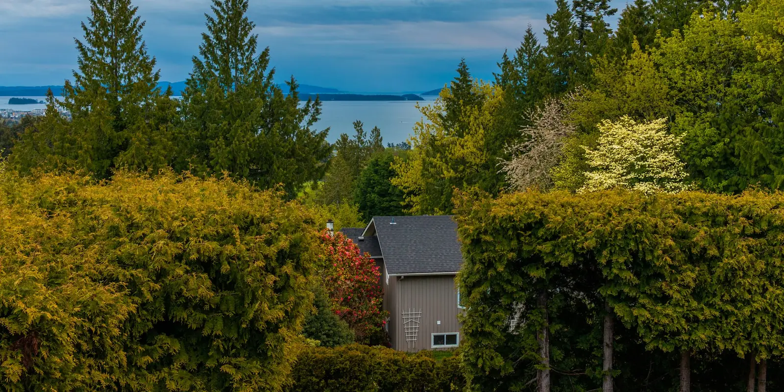 A house among tall trees above the water in Victoria